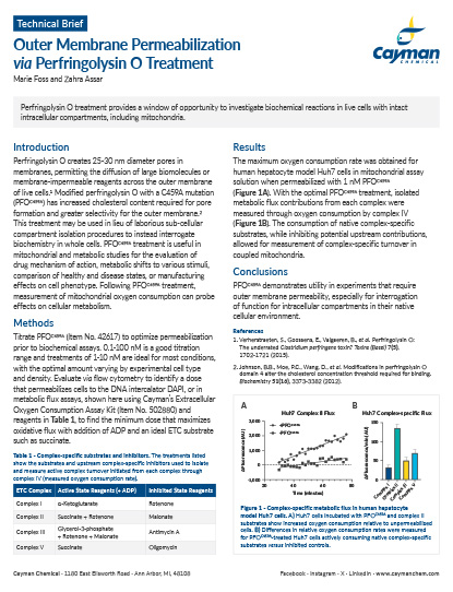 <p>​Outer Membrane Permeabilization <em>via </em>Perfringolysin O Treatment<br></p>